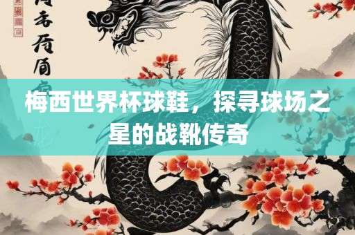 梅西世界杯球鞋，探寻球场之星的战靴传奇