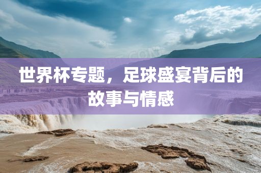 世界杯专题，足球盛宴背后的故事与情感眉山市正发家政服务有限公司