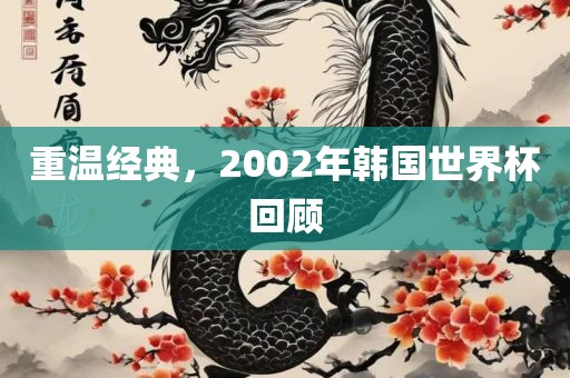 重眉山市正发家政服务有限公司温经典，2002年韩国世界杯回顾