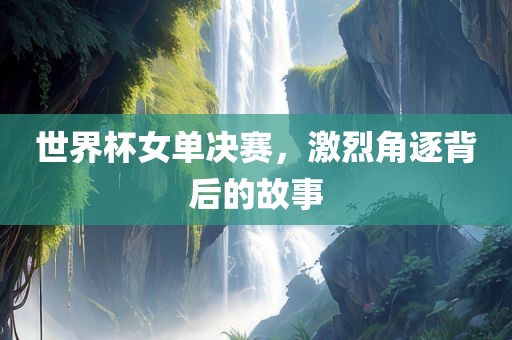 世界杯女单决赛，激眉山市正发家政服务有限公司烈角逐背后的故事