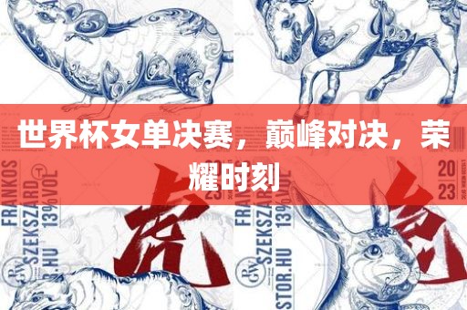 世界杯女单决赛，巅峰对决，荣耀时刻眉山市正发家政服务有限公司