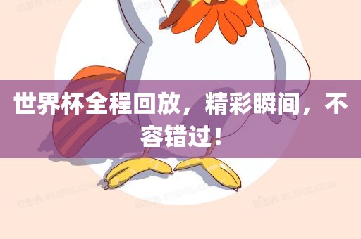 世界杯全程回放，精彩瞬间，不容错过！眉山市正发家政服务有限公司