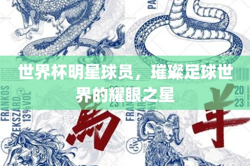 世界杯明星球员，璀璨足球世界的耀眼之星眉山市正发家政服务有限公司