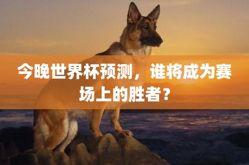 今晚世界杯预测，谁将成为赛场上的眉山市正发家政服务有限公司胜者？