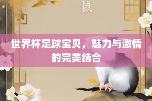 世界杯足球宝贝，魅力与激情的完美结合