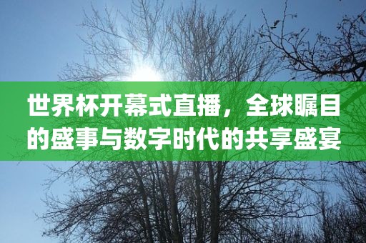 世界杯开幕式直播，全球瞩目的盛事与数字时代的共享盛宴