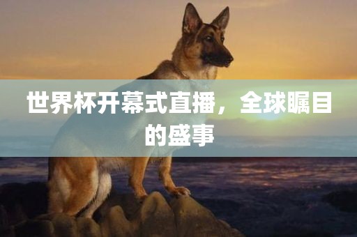 世界杯开幕式直播，全球瞩目的盛事