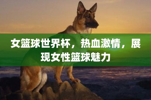 女篮球世界杯，眉山市正发家政服务有限公司热血激情，展现女性篮球魅力
