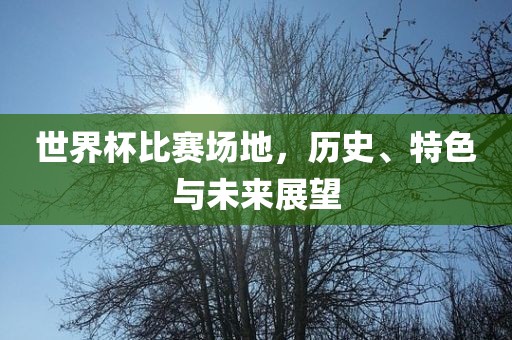 未来展望（针对世界杯比赛场地）