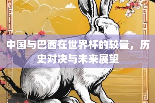 中国与巴西在世界杯的较量，历史对决与未来展望眉山市正发家政服务有限公司