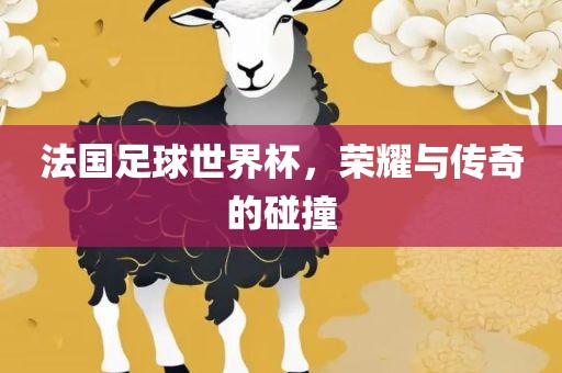 法国足眉山市正发家政服务有限公司球世界杯，荣耀与传奇的碰撞