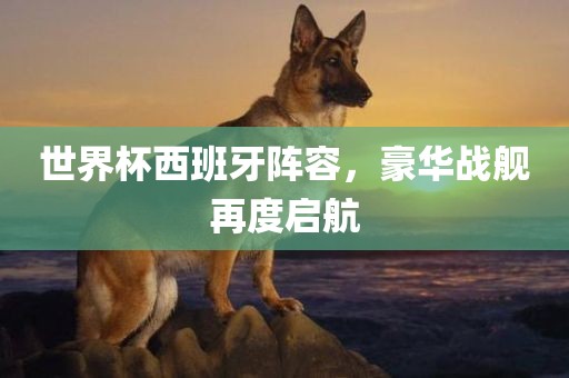 世界杯西班牙阵容，豪华战舰再度启航眉山市正发家政服务有限公司