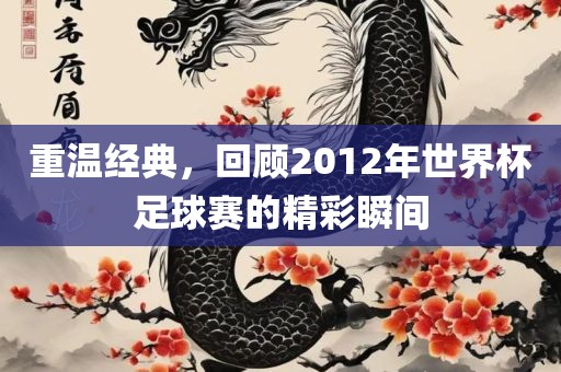 重温经典，回顾2012年世眉山市正发家政服务有限公司界杯足球赛的精彩瞬间
