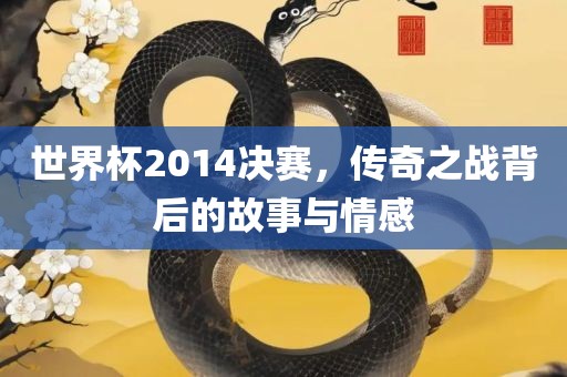 世界杯2014决赛，传奇之战背后的眉山市正发家政服务有限公司故事与情感