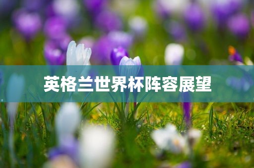 英格兰世界杯阵容展望眉山市正发家政服务有限公司