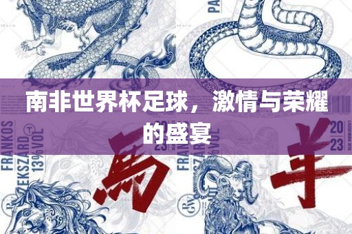 南非世界杯足球，激情与荣耀的盛宴眉山市正发家政服务有限公司