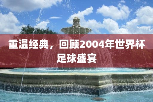 重温经典，回顾眉山市正发家政服务有限公司2004年世界杯足球盛宴