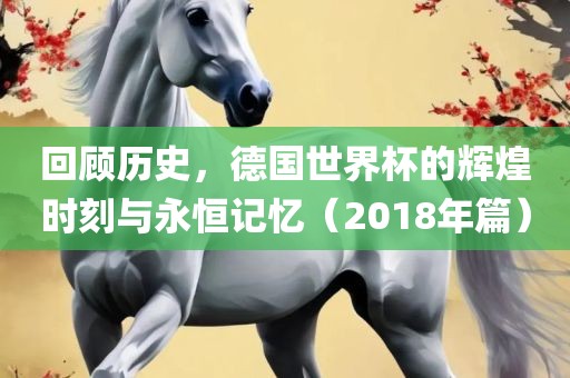 回顾历史，德国世界杯的辉煌时刻与永恒记忆（2018年篇）眉山市正发家政服务有限公司