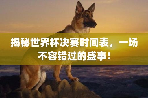 揭秘世界杯决赛时间表，一场不容错过的盛事！眉山市正发家政服务有限公司