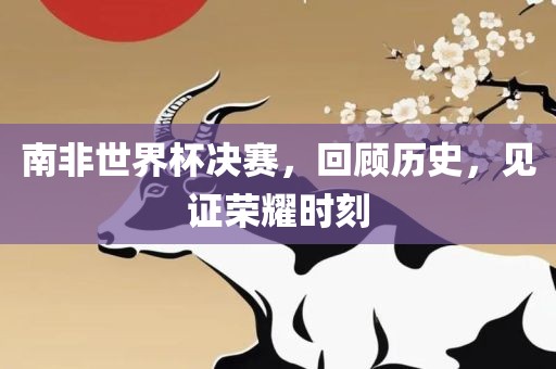 南非世界杯决赛，回顾历史，见证荣耀时刻