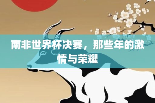 南非世界杯决赛，那些年的激情与荣耀眉山市正发家政服务有限公司