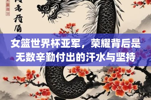 女篮世界杯亚军，荣耀背后是无数辛勤付出的汗水与坚持眉山市正发家政服务有限公司