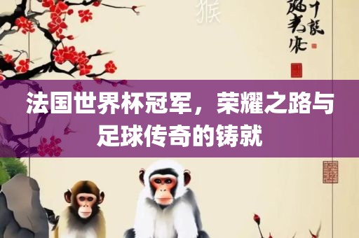 法国世界杯冠军，荣耀之路与足球传奇的铸就