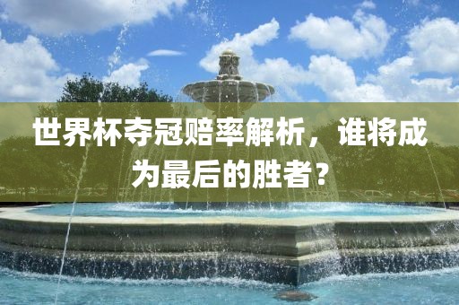 世界杯夺冠赔率解析，谁将成为最后的胜者？