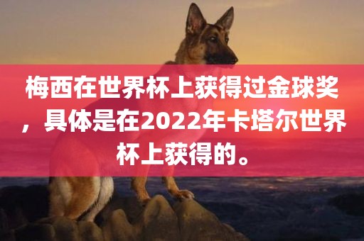 梅西在世界杯上获得过金球奖，具体是在2022年卡塔尔世界杯上获得的。眉山市正发家政服务有限公司
