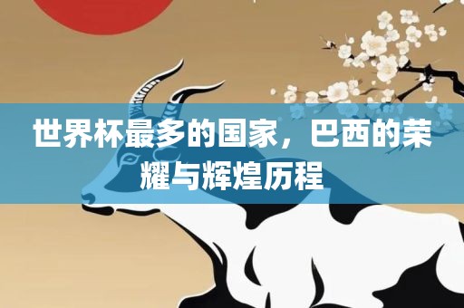 世界杯最多的国家，巴西的荣耀与辉煌历程眉山市正发家政服务有限公司