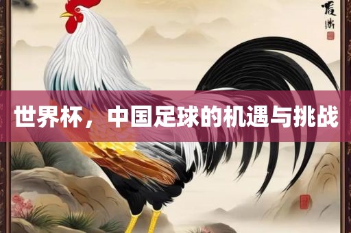 世界杯，中国足球的机遇与挑战眉山市正发家政服务有限公司