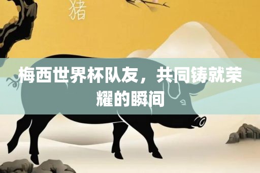 梅西世界杯队友，共同铸就荣耀的瞬间眉山市正发家政服务有限公司