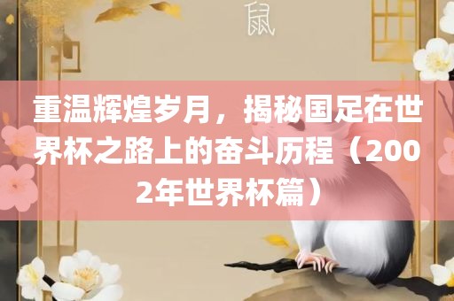 重温辉煌岁月，揭秘国足在世界杯之路上的奋斗历程（2002年世界杯篇）眉山市正发家政服务有限公司
