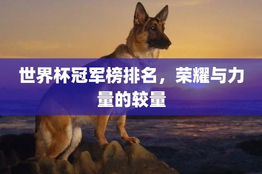 世界杯冠军榜排名，荣耀与力量的较量