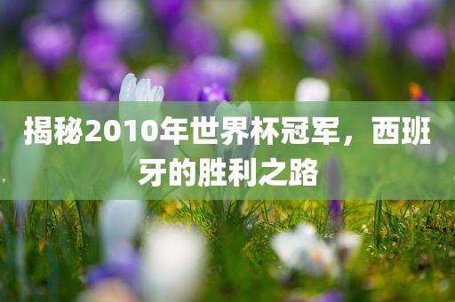 揭秘2010年世界眉山市正发家政服务有限公司杯冠军，西班牙的胜利之路