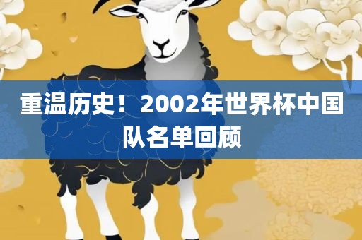 重温历史！2002年世界杯中国队名单回顾眉山市正发家政服务有限公司