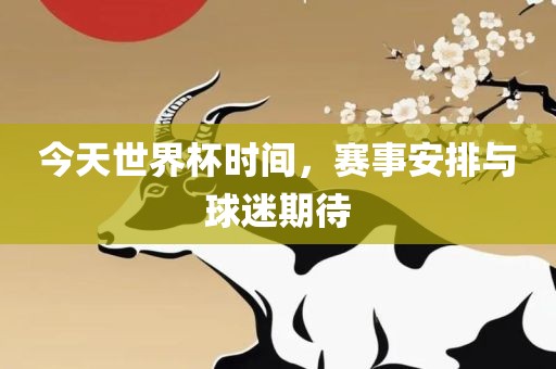 今天世界杯时间，赛事安排与球迷期待眉山市正发家政服务有限公司