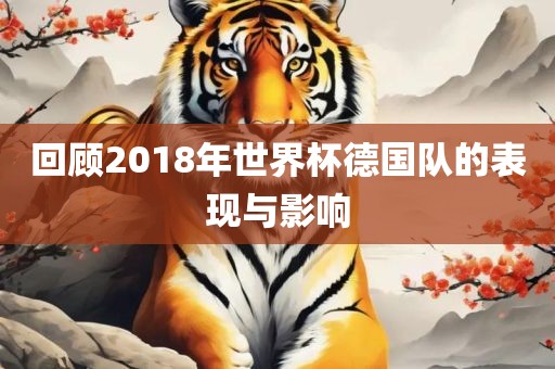 回顾2018年世界杯德国队的表现与影响眉山市正发家政服务有限公司