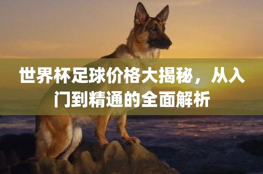 世界杯足球价格大揭秘，从入门到精通的全面解析