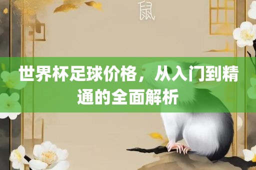 世界杯足球价格，从入门到精通的全面解析眉山市正发家政服务有限公司