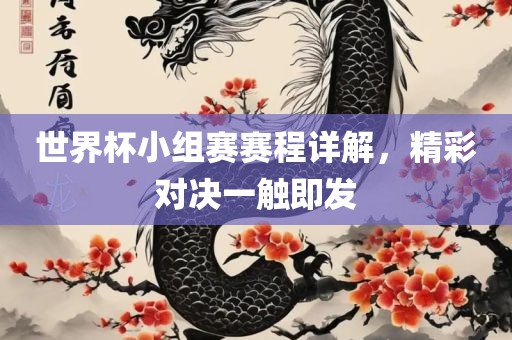 世界杯小组赛赛程详解，精彩对决一触即发
