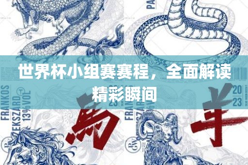 世界杯小组赛赛程，全面解读精彩瞬间