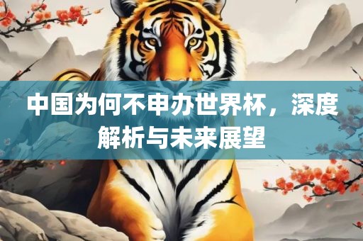 中国为何不申办世界杯，眉山市正发家政服务有限公司深度解析与未来展望