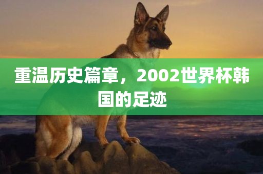 重温历史篇章，2002世界杯韩国的足迹眉山市正发家政服务有限公司