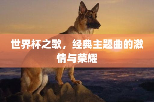 世界杯之歌，经典主题曲的激情与荣耀