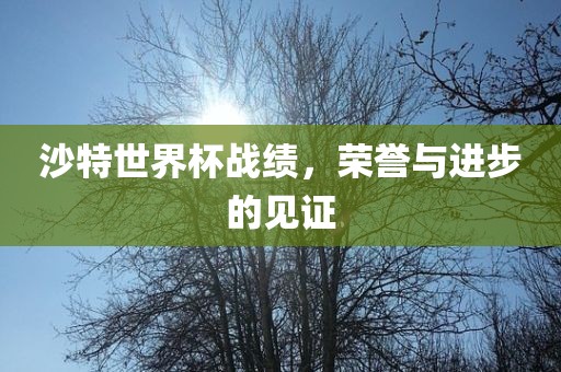 沙特世界杯战绩眉山市正发家政服务有限公司，荣誉与进步的见证