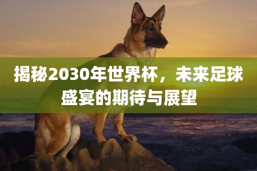 揭秘2030年世界杯，未来足球盛宴的期待与展望眉山市正发家政服务有限公司