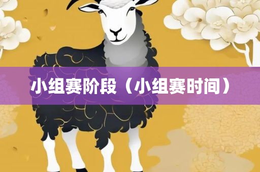 小组赛阶段（小组赛时间）