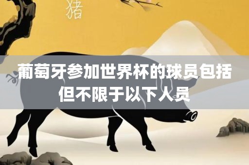 葡萄牙参加世界杯的球员包括但不限于以下人员眉山市正发家政服务有限公司