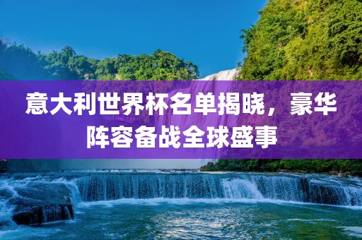 意大利世界杯名单揭晓，豪华阵容备战全球盛事眉山市正发家政服务有限公司